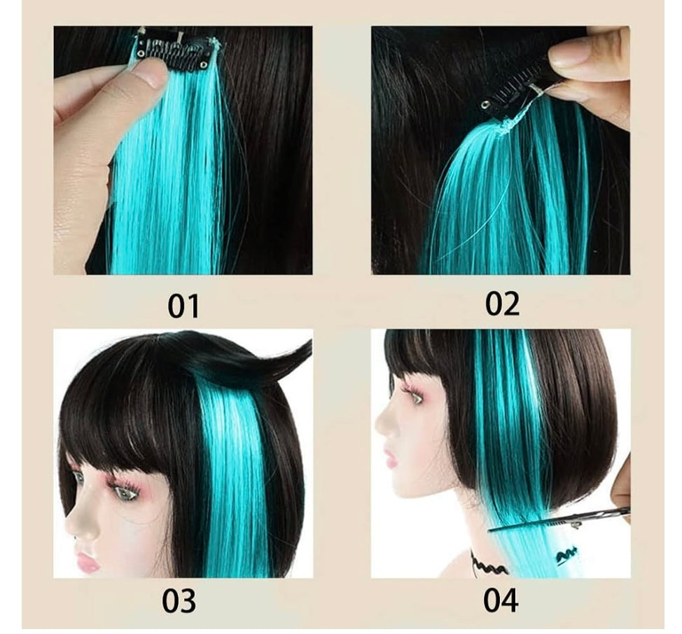 Hair Extension Clipins (1pc)