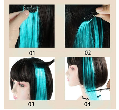 Hair Extension Clipins (1pc)