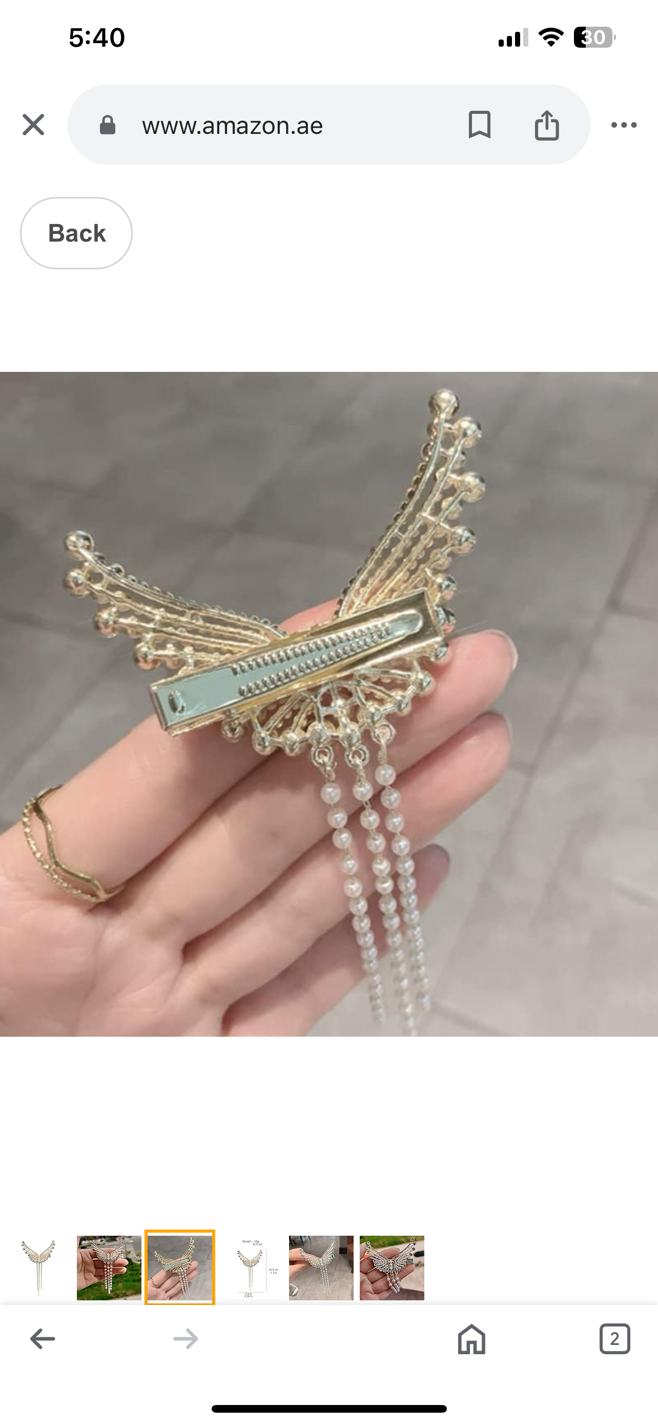 Angelwing tassel hairclip pairs