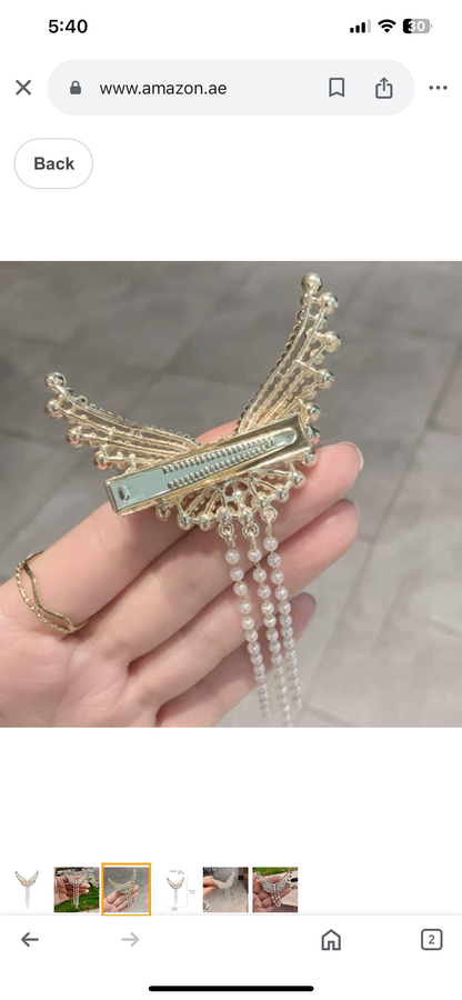 Angelwing tassel hairclip pairs